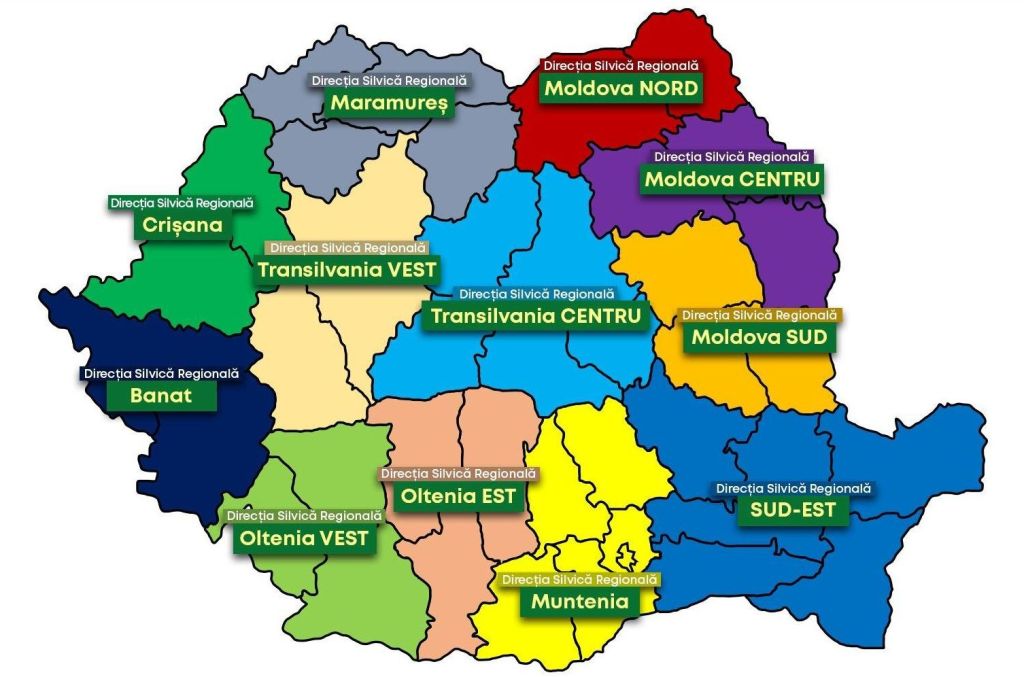 Noua structură teritorială a Romsilva / Foto: Ministerul Mediului