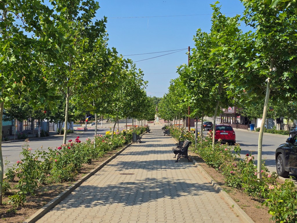 Strada din Calafat. Foto: Dreamstime