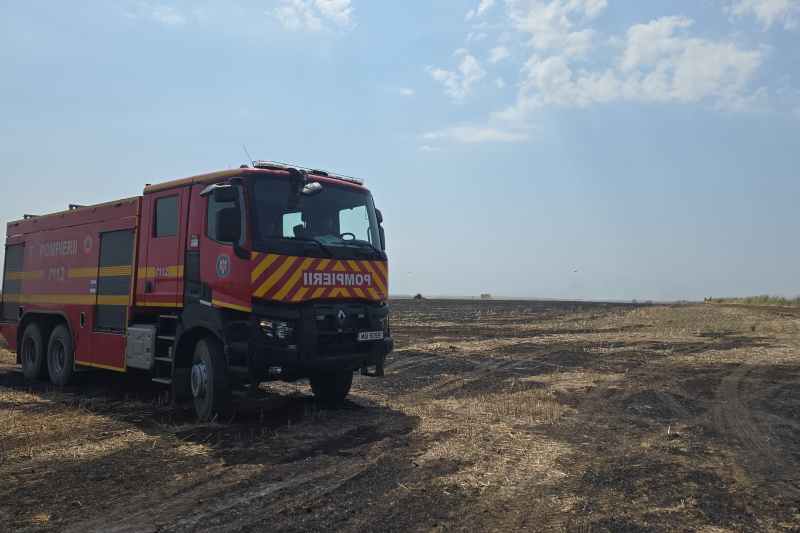 Incendiu de vegetație lângă localitatea ilfoveană Berceni. „Flacără deschisă şi degajări mari de fum” 