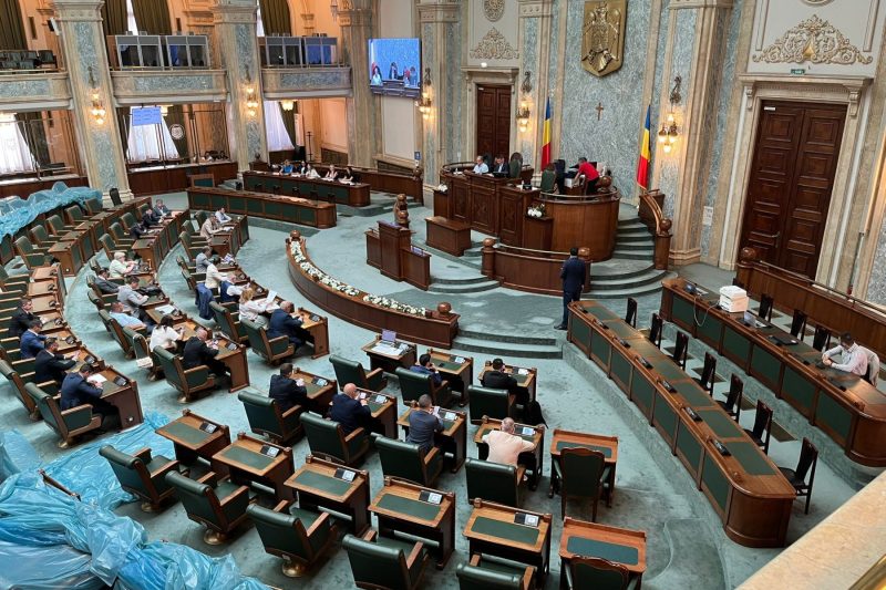 Proiectul pentru prevenirea violenţei domestice a fost votat în Senat. Ce vor fi obligate să facă autorităţile locale