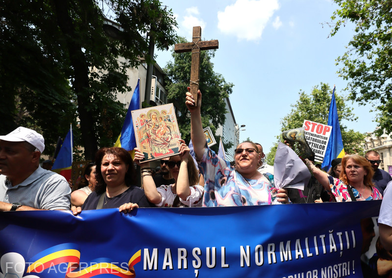 Diana Iovanovici-Șoșoacă, președintele Partidului S.O.S. România, participă la cea de-a XX-a ediție a Marșului Normalității, organizat de Partidul S.O.S. România. Foto: Silviu Matei / Agerpres