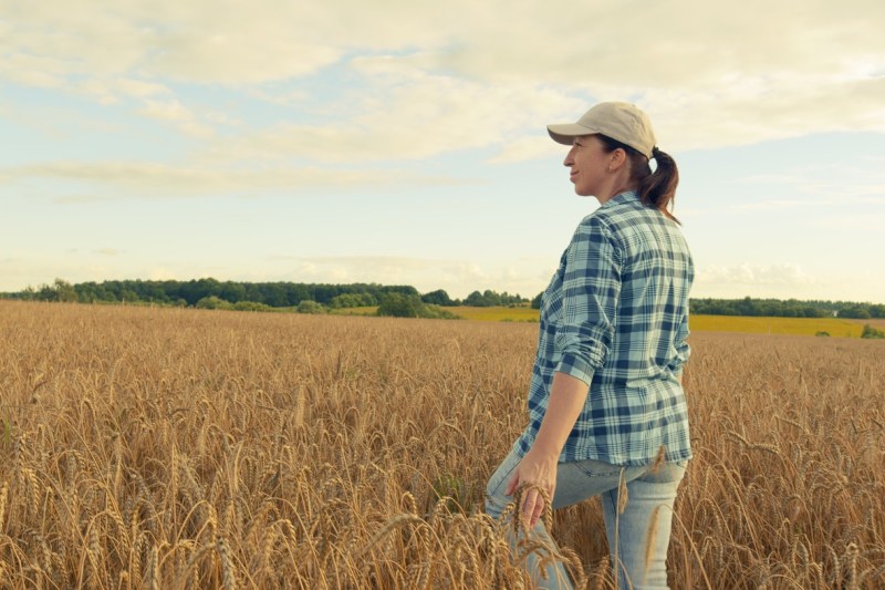 La mijlocul anului, angrosiștii trag linie și nu sunt deloc încântați