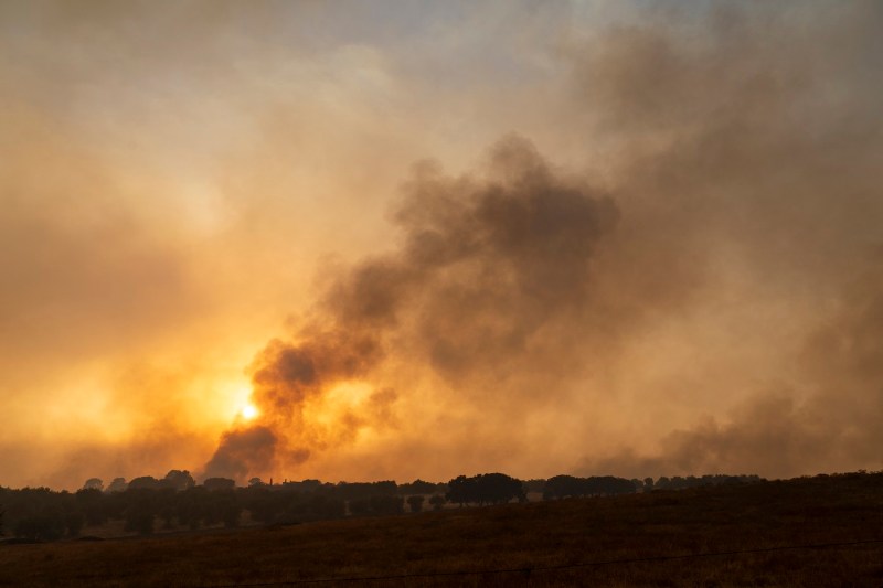 VIDEO Zeci de mii de hectare de pădure, afectate de incendiile din Spania. Armata a fost chemată să-i ajute pe pompieri