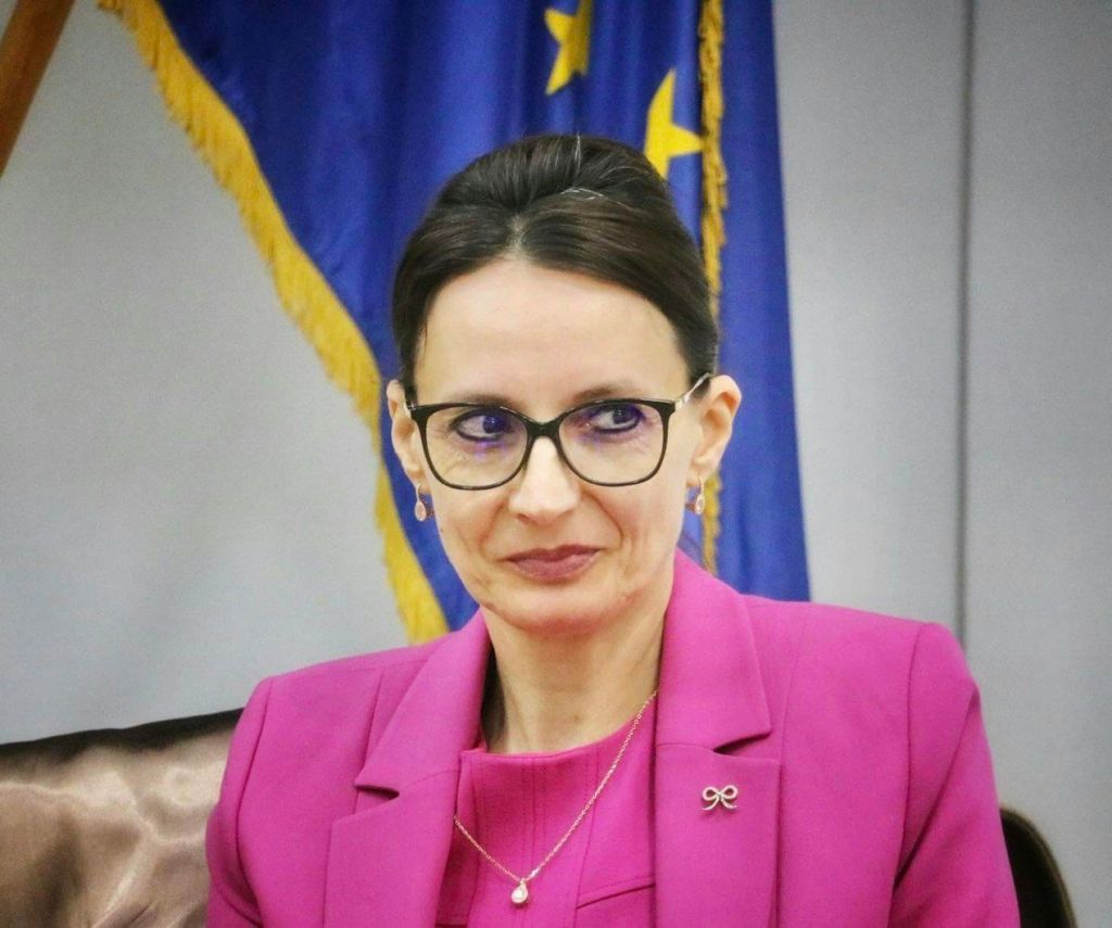 Elena Costache, președinta CSM. Foto: Institutul Național al Magistraturii