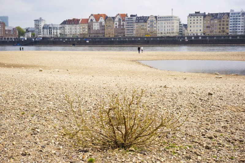 Ce sunt „orașele burete” și care sunt avantajele lor într-o lume în care apa devine un lux