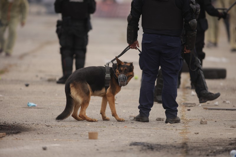 Fragmente de dronă, semnalate prin apel la 112 în județul Tulcea. Anunțul făcut de MApN