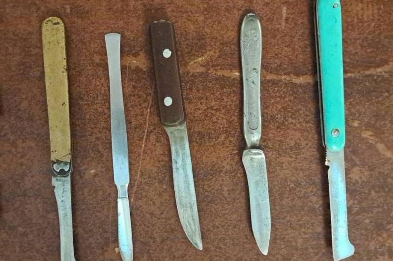 O femeie invitată de AUR în Parlament a fost prinsă cu șase cuțite la intrare / Reacția partidului