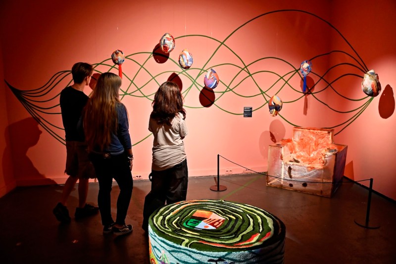 Împrumut istoric: Art Safari aduce Matisse de la Paris!