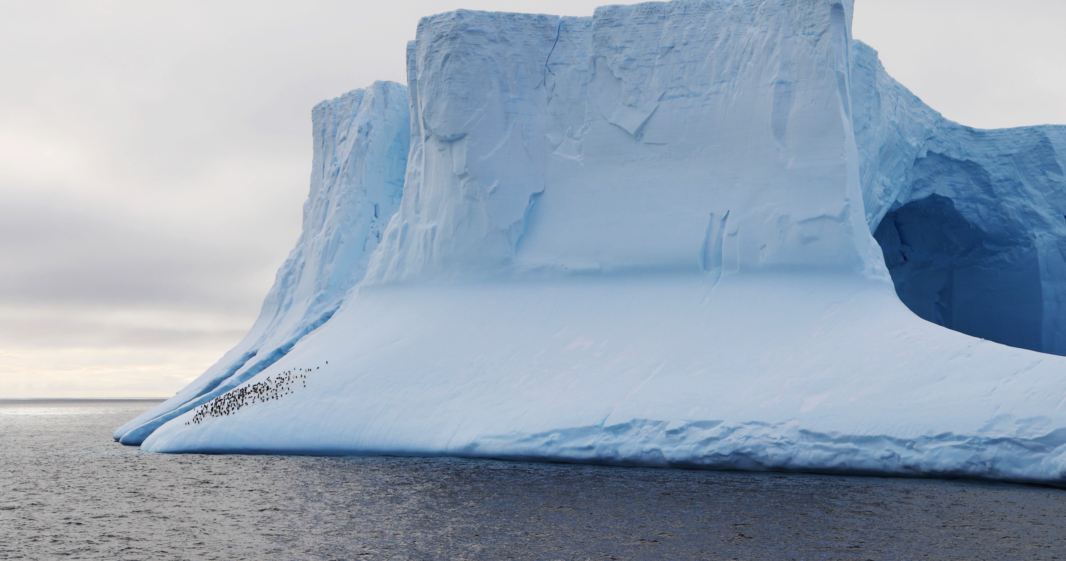 Aisbergul A23a se destramă rapid în Antarctica