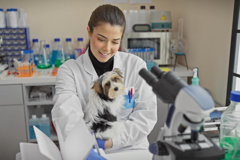 O revoluție tăcută în domeniul medical naște speranțe că testarea pe animale va dispărea în curând