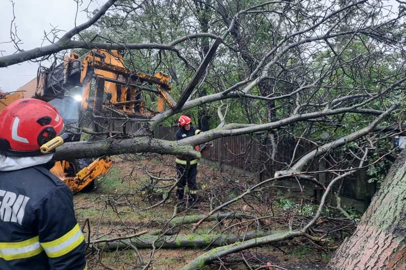 Peste 20.000 de consumatori, rămași fără curent electric în urma fenomenelor extreme, anunță ministrul Energiei / „Nu se poate spune unde o să cadă copacii în avans”