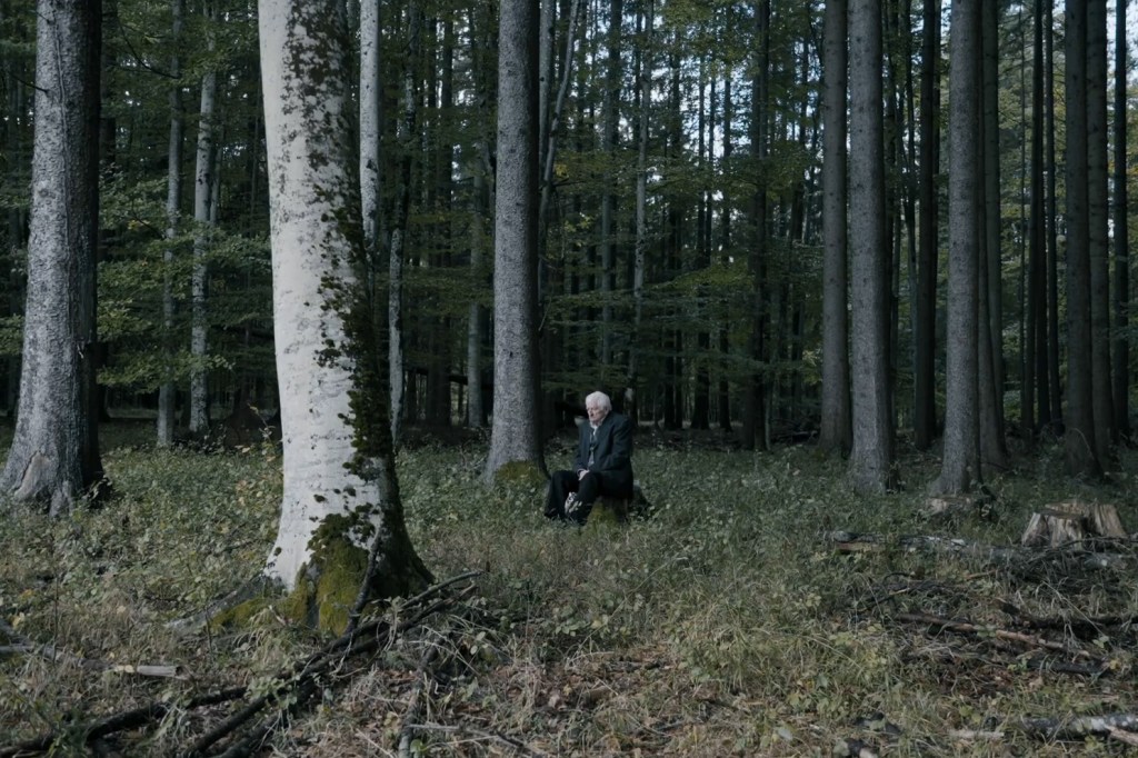 Imagine din trailer-ul „Pădurea de molizi"