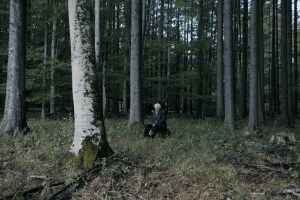 Imagine din trailer-ul „Pădurea de molizi"