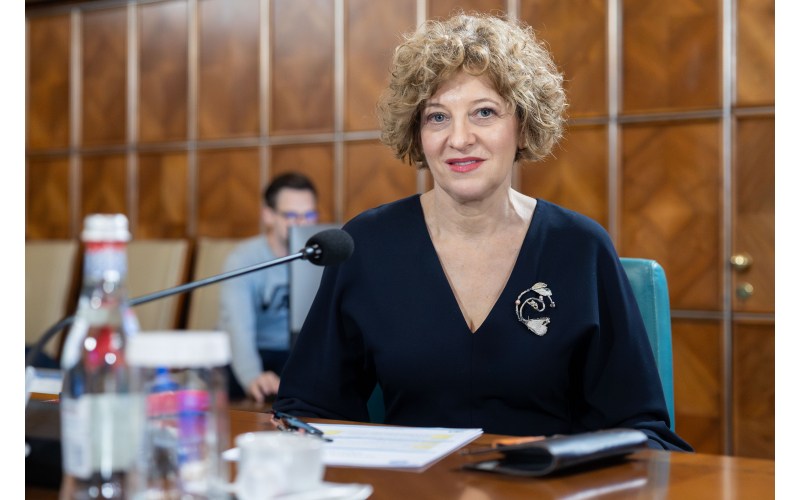 Oana Gheorghiu spune că societățile de stat nu fac sponsorizări / Care este realitatea