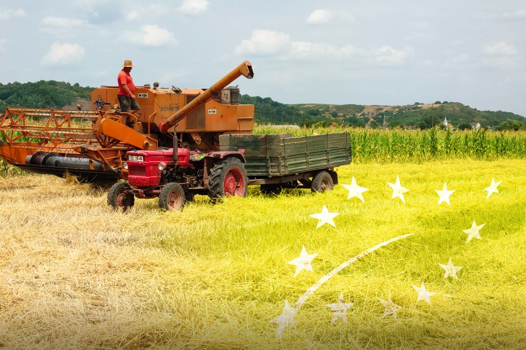 Agricultură bio. Imagine originală: Menno Van Der Haven | Dreamstime.com