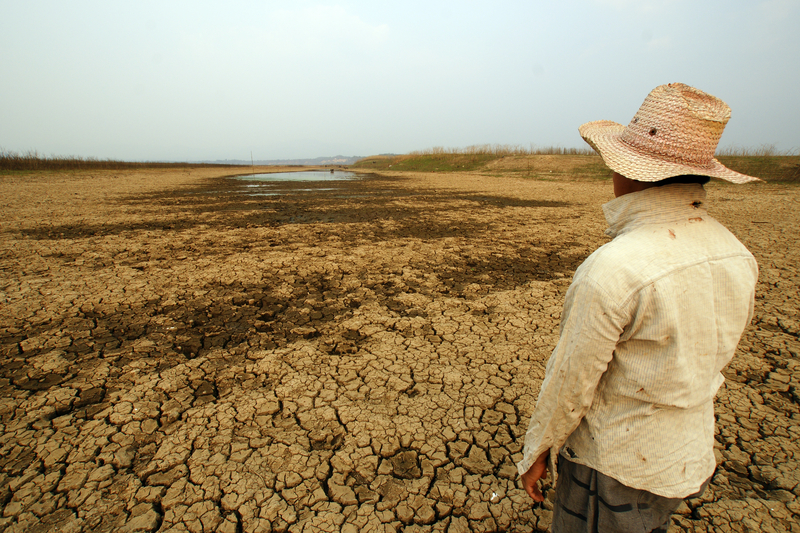 Un crescător de porci a găsit ceea ce părea o păpușă îngropată în pământ. Apoi, degetele păpușii au început să se miște. „M-am apropiat și mai mult și am simțit bătăile inimii”