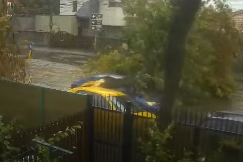 VIDEO Momentul în care un copac cade peste o mașină aflată în mers, în București