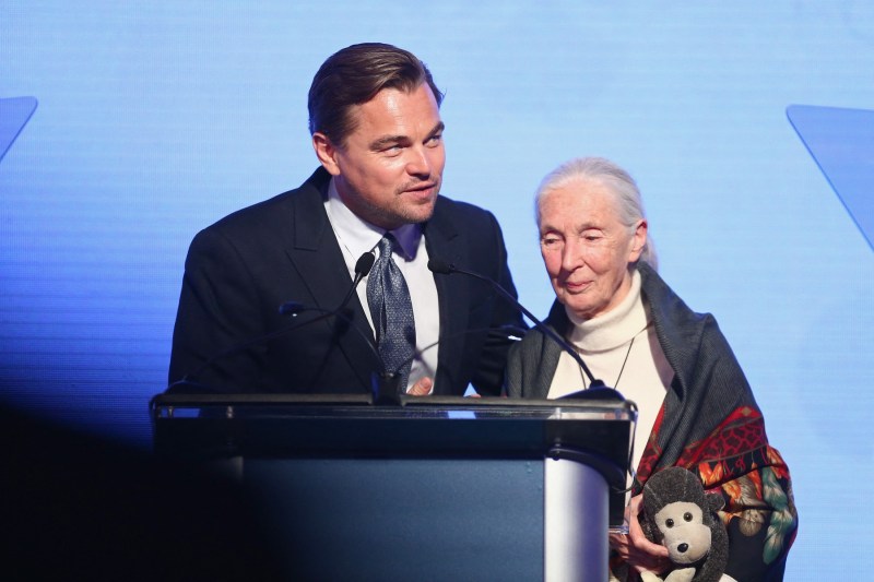 Leonardo DiCaprio a dezvăluit ultimele cuvinte pe care i le-a spus celebrei cercetătoare Jane Goodall înainte să moară. Ce i-a legat pe cei doi