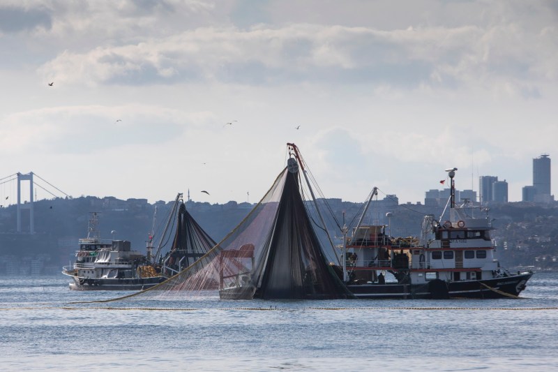 VIDEO Surpriză de proporții pentru un grup de pescari turci, care a dat peste o dronă Magura V5 rătăcită la 1.000 de kilometri de Crimeea