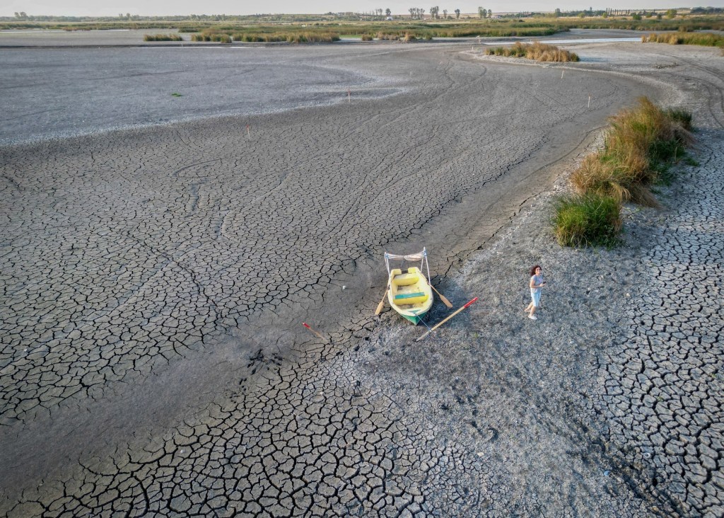 Secetă în balta Comana, septembrie 2024. Foto - Daniel MIHAILESCU / AFP / Profimedia
