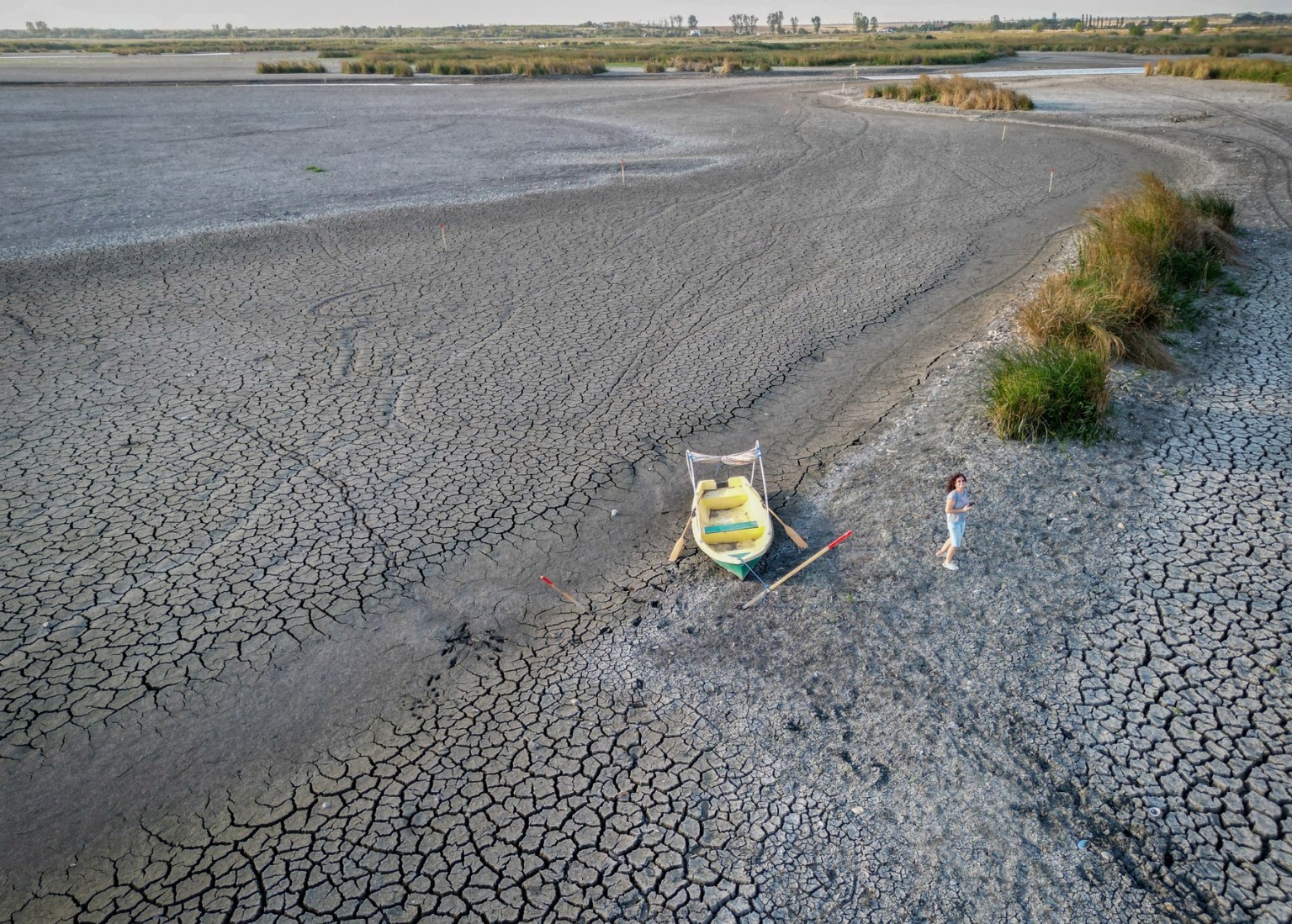 Secetă în balta Comana, septembrie 2024. Foto - Daniel MIHAILESCU / AFP / Profimedia