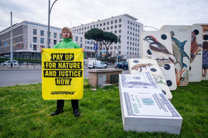 Greenpeace e obligată să plătească unei companii energetice despăgubiri de aproape 350 de milioane de dolari, după ce un judecător a redus suma decisă de juriu