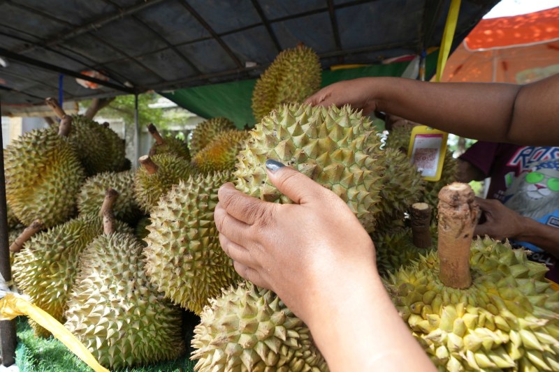 Mirosul de durian i-a pus în alertă pe pompierii dintr-un    celebru oraș german