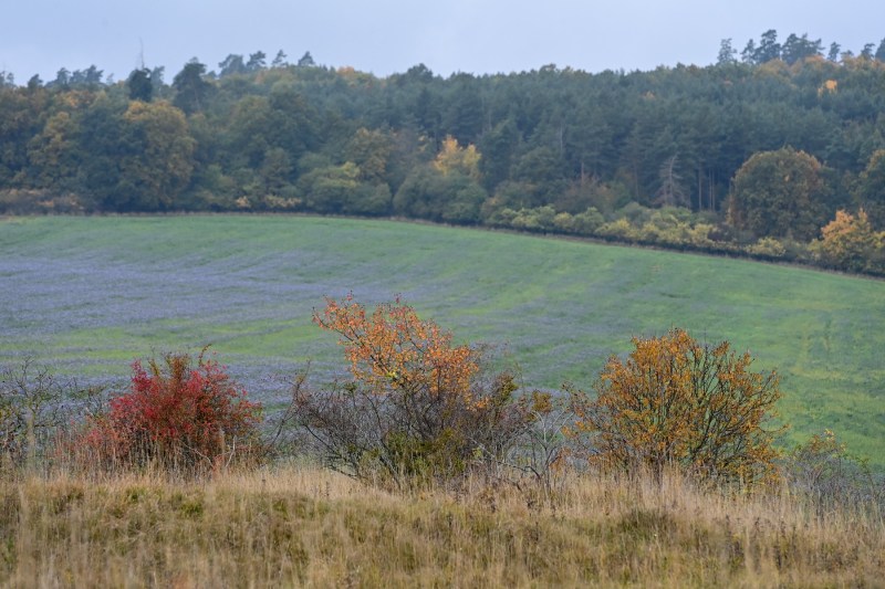 Construcțiile în arii naturale începute înainte de 2007 pot continua fără aviz de mediu. Acuzații între PSD și USR după adoptarea legii în Parlament