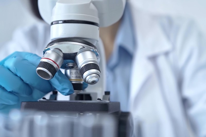 Microscopul unui cercetător. Foto: Volha_R / Shutterstock