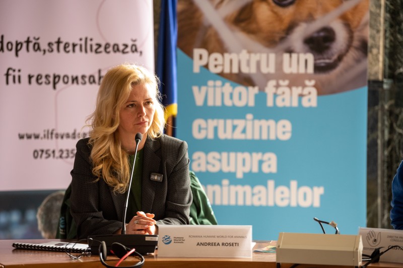 [P] „Viața nevăzută a animalelor de fermă” – Humane World for Animals lansează o campanie publică pentru creșterea gradului de conștientizare privind bunăstarea animalelor de fermă