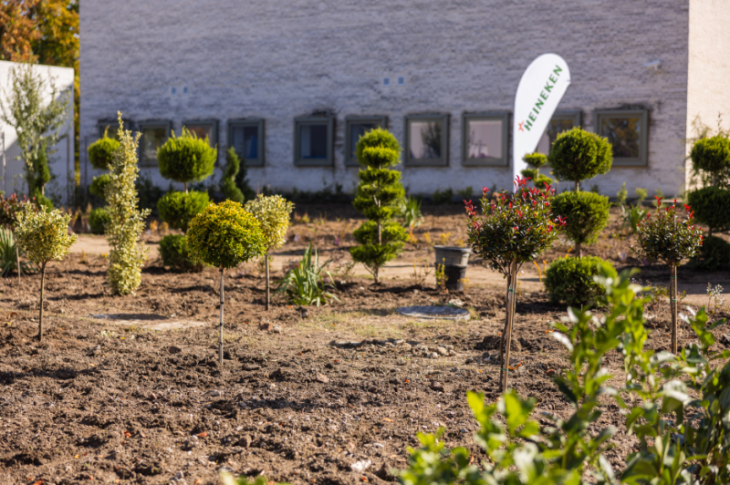 HEINEKEN România: 7 din 10 angajați implicați în acțiuni de voluntariat pentru comunități