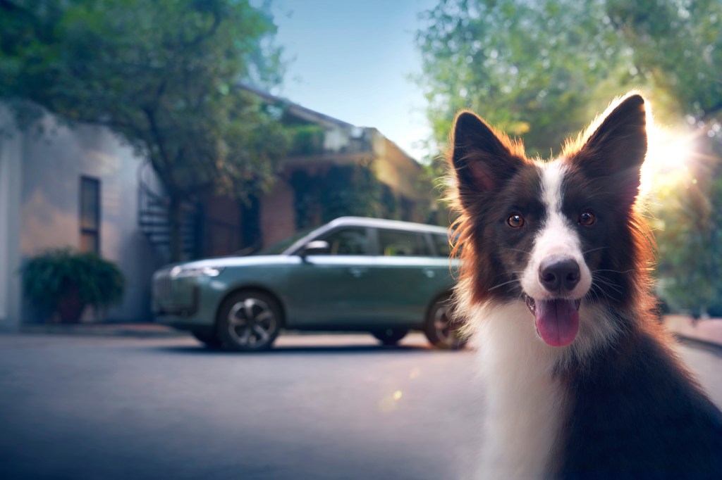 Viitorul condusului conectat în România. OMODA & JAECOO – tehnologia în mișcare