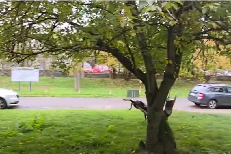 VIDEO. Scene incredibile în curtea din fața unui spital din Praga. Ciocnire cap-în-cap