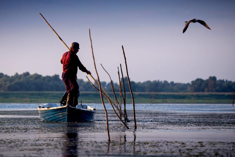 Un „colț de paradis” în agonie: Un mare ziar european scrie de problemele din Delta Dunării despre care în România nu se vorbește aproape deloc