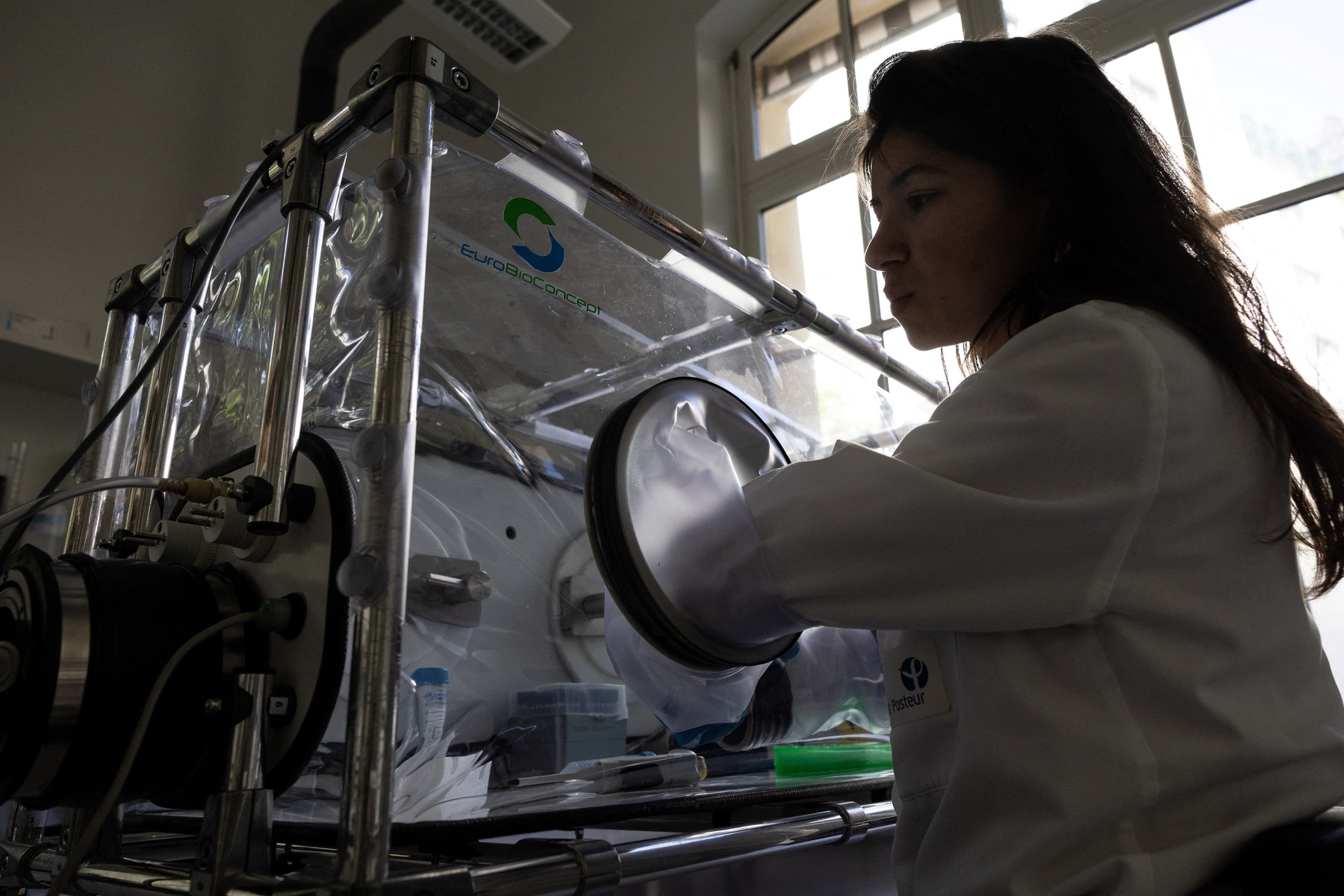 Institutul Pasteur: Mutații ale gripei aviare ar putea provoca pandemie