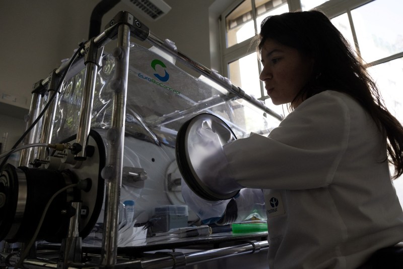 Institutul Pasteur e îngrijorat că mutații ale virusului gripei aviare vor putea provoca o pandemie gravă