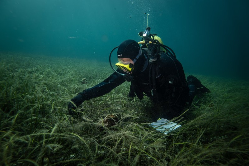 Grecia a apelat la un aliat din adâncuri pentru a vedea cât de poluate au ajuns mările sale cristaline: „Te lasă fără cuvinte”