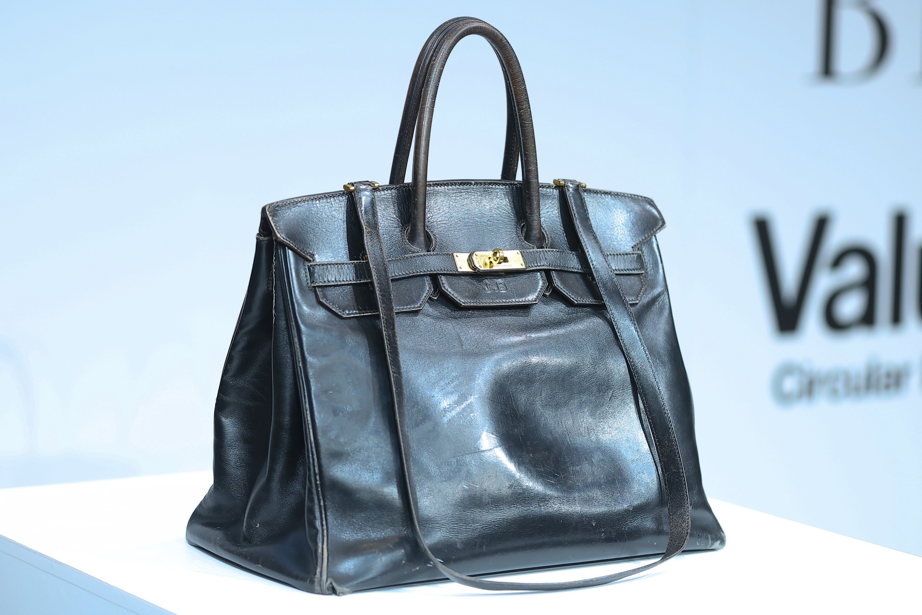 Compania care a plătit 10 milioane de dolari pentru o geantă a prezentat-o lumii: „Reflectă filosofia noastră”