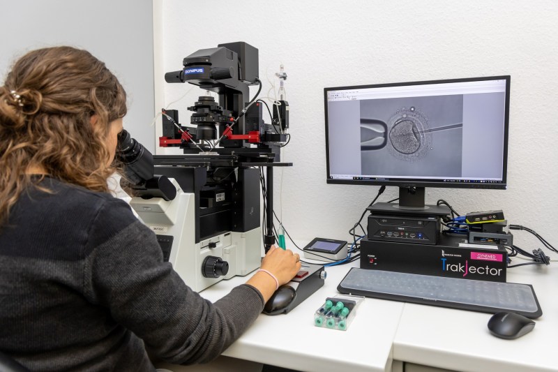 „Vorbim despre oameni care nu cer privilegii, ci doar o şansă”. Cum ajută România cuplurile care se confruntă cu infertilitatea și ce măsuri iau alte țări europene 