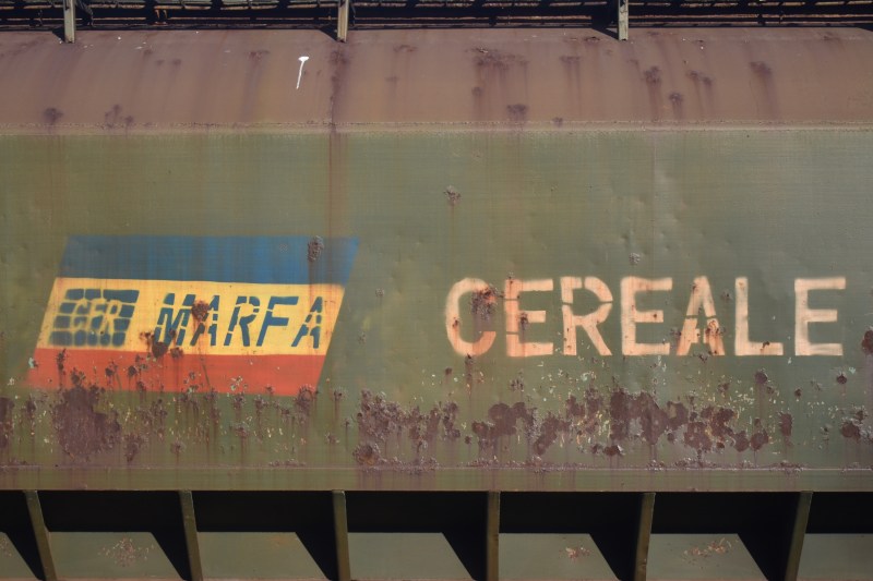 O garnitură de tren aparținând CFR Marfă. Foto: Adriana Iacob / Shutterstock