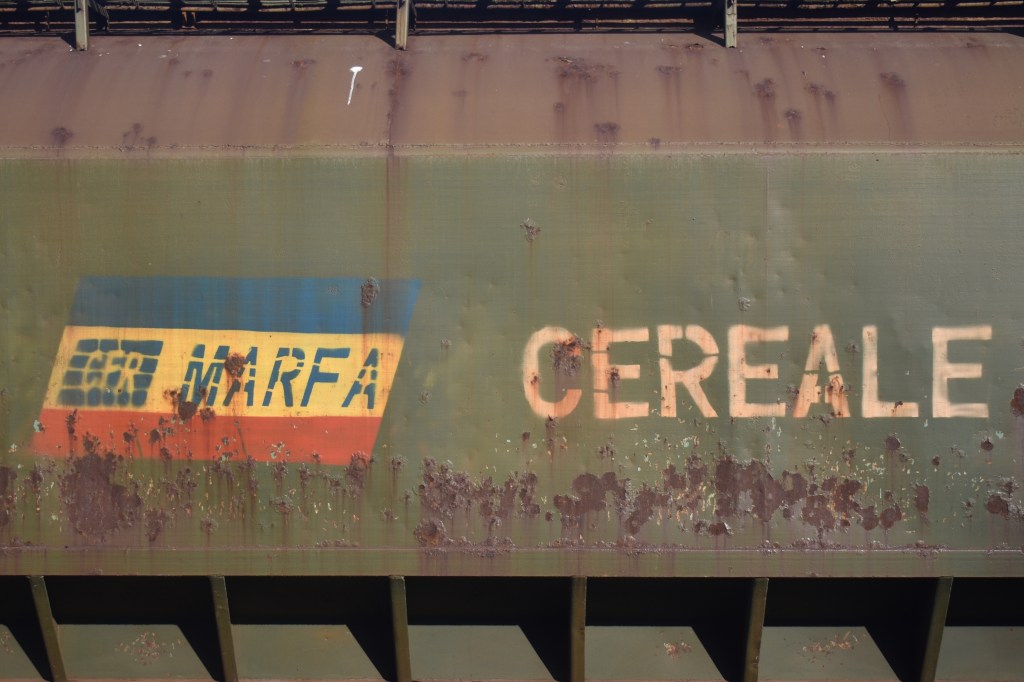 O garnitură de tren aparținând CFR Marfă. Foto: Adriana Iacob / Shutterstock