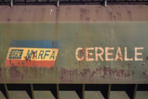 O garnitură de tren aparținând CFR Marfă. Foto: Adriana Iacob / Shutterstock