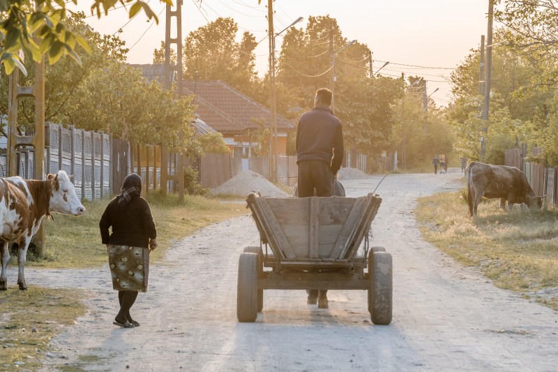 Sat din județul Dolj. Foto: Marco Taliani de Marchio / Shutterstock