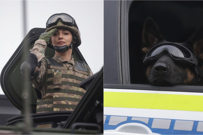FOTO Cele mai frumoase imagini de la parada de 1 Decembrie de la Arcul de Triumf din București