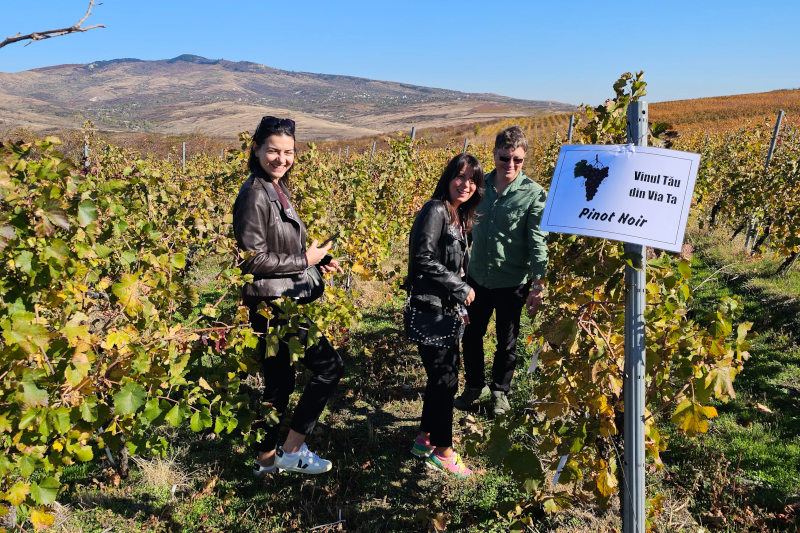 Proiectul „Vinul tău din via ta” al cramei „1000 de Chipuri” – o reinventare a vinului artizanal