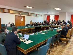 Ședință cu scandal între PSD și USR. Foto: HotNews / David Leonard Bularca