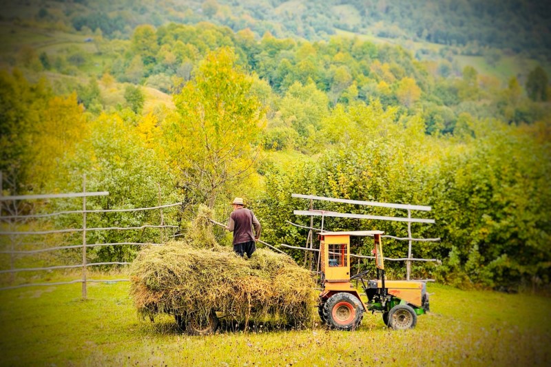 Venituri din arendă 2025: Ghid ANAF pentru persoanele fizice