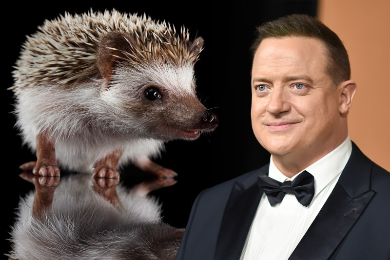 Brendan Fraser. Foto: Richard Shotwell / AP / Profimedia. Colaj: Ion Mateș