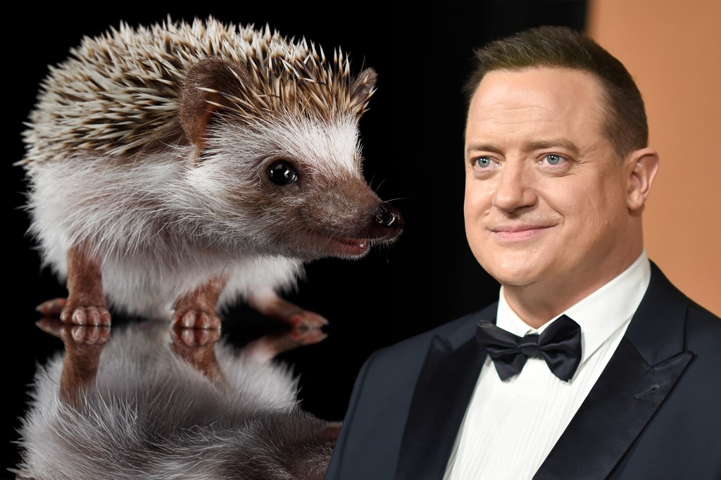 Brendan Fraser. Foto: Richard Shotwell / AP / Profimedia. Colaj: Ion Mateș