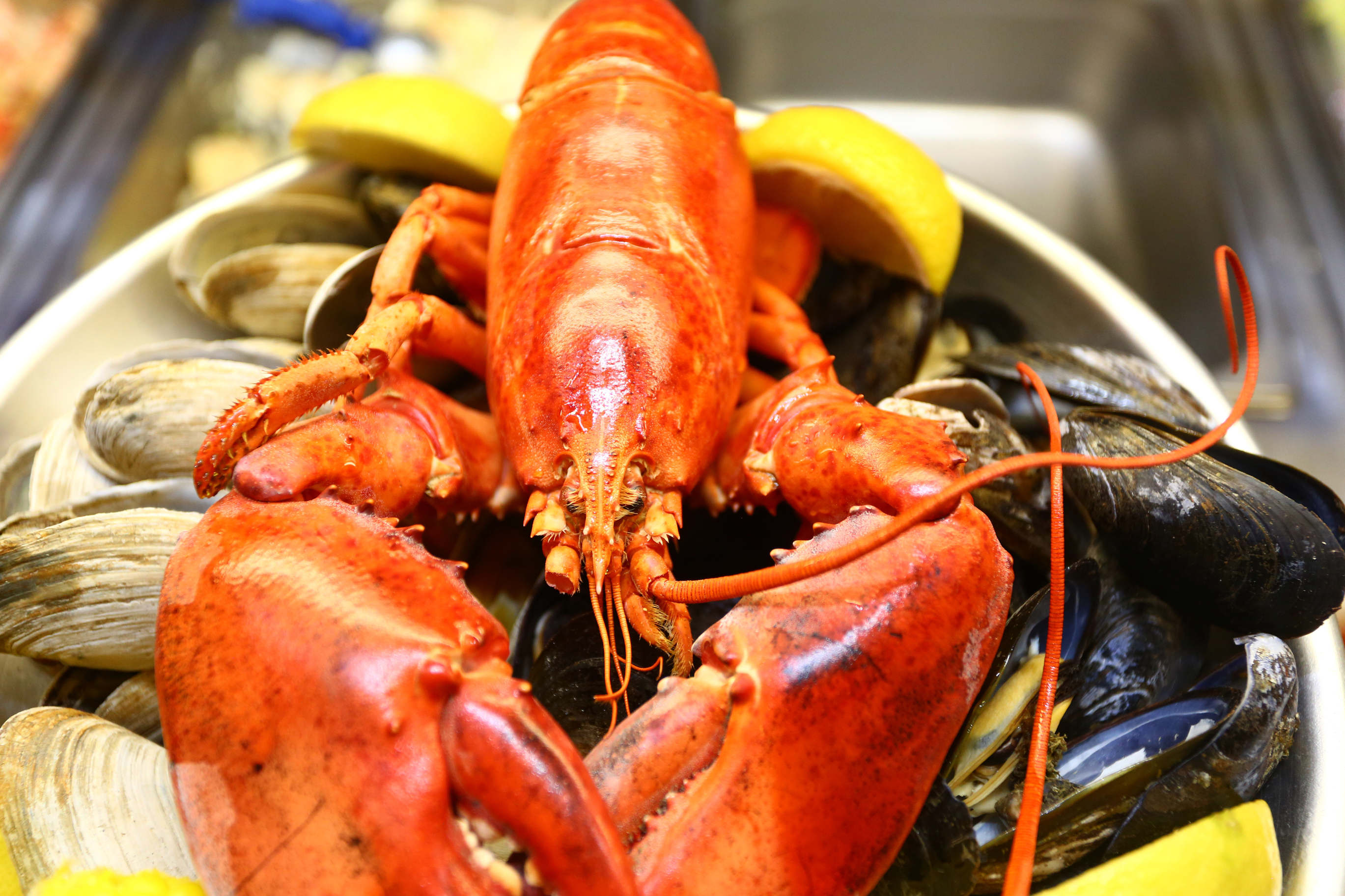 Homari în valoare de 400.000 de dolari, furați în drum spre magazine. „Nu a fost întâmplător”